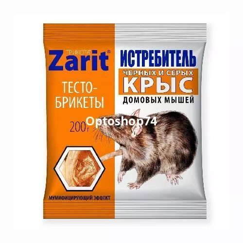 тесто